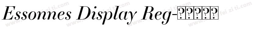 Essonnes Display Reg字体转换
